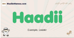 Haadii muslim boys name and meaning, islamic boys name Haadii