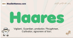 Haares muslim boys name and meaning, islamic boys name Haares