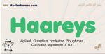 Haareys muslim boys name and meaning, islamic boys name Haareys