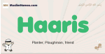 Haaris muslim boys name and meaning, islamic boys name Haaris