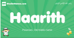 Haarith arabic boys name and meaning, quranic boys name Haarith
