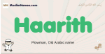 Haarith muslim boys name and meaning, islamic boys name Haarith