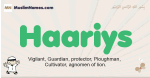 Haariys muslim boys name and meaning, islamic boys name Haariys