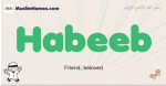 Habeeb muslim boys name and meaning, islamic boys name Habeeb
