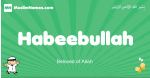 Habeebullah arabic boys name and meaning, quranic boys name Habeebullah