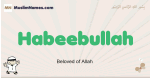 Habeebullah muslim boys name and meaning, islamic boys name Habeebullah