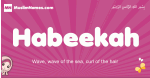 Habeekah arabic girls name and meaning, muslim girl name Habeekah
