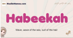 Habeekah muslim girls name and meaning, islamic girls name Habeekah