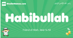 Habibullah arabic boys name and meaning, quranic boys name Habibullah