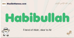 Habibullah muslim boys name and meaning, islamic boys name Habibullah