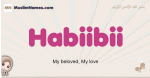 Habiibii muslim girls name and meaning, islamic girls name Habiibii