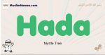 Hada muslim boys name and meaning, islamic boys name Hada