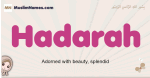 Hadarah muslim girls name and meaning, islamic girls name Hadarah