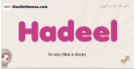 Hadeel muslim girls name and meaning, islamic girls name Hadeel