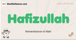 Hafizullah muslim boys name and meaning, islamic boys name Hafizullah