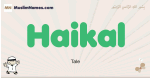 Haikal muslim boys name and meaning, islamic boys name Haikal