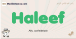 Haleef muslim boys name and meaning, islamic boys name Haleef