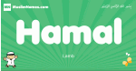 Hamal arabic boys name and meaning, quranic boys name Hamal