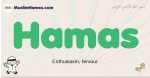 Hamas muslim boys name and meaning, islamic boys name Hamas