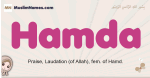 Hamda muslim girls name and meaning, islamic girls name Hamda