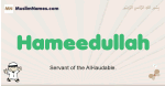 Hameedullah muslim boys name and meaning, islamic boys name Hameedullah