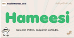 Hameesi muslim boys name and meaning, islamic boys name Hameesi