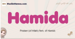 Hamida muslim girls name and meaning, islamic girls name Hamida