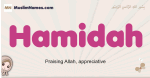 Hamidah muslim girls name and meaning, islamic girls name Hamidah
