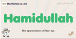 Hamidullah muslim boys name and meaning, islamic boys name Hamidullah