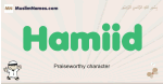 Hamiid muslim boys name and meaning, islamic boys name Hamiid