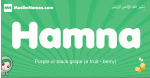 Hamna arabic girl name and meaning, quranic girls name Hamna