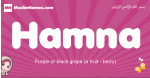 Hamna arabic girls name and meaning, muslim girl name Hamna
