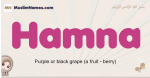 Hamna muslim girls name and meaning, islamic girls name Hamna