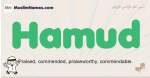 Hamud muslim boys name and meaning, islamic boys name Hamud
