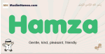 Hamza muslim boys name and meaning, islamic boys name Hamza