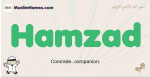 Hamzad muslim boys name and meaning, islamic boys name Hamzad