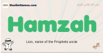 Hamzah muslim boys name and meaning, islamic boys name Hamzah