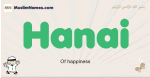Hanai muslim boys name and meaning, islamic boys name Hanai