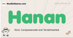 Hanan muslim boys name and meaning, islamic boys name Hanan