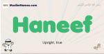 Haneef muslim boys name and meaning, islamic boys name Haneef