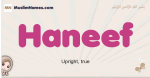 Haneef muslim girls name and meaning, islamic girls name Haneef
