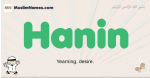 Hanin muslim boys name and meaning, islamic boys name Hanin