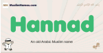 Hannad muslim boys name and meaning, islamic boys name Hannad