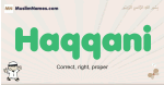 Haqqani muslim boys name and meaning, islamic boys name Haqqani