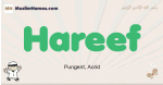 Hareef muslim boys name and meaning, islamic boys name Hareef