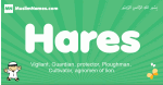 Hares arabic boys name and meaning, quranic boys name Hares