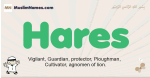 Hares muslim boys name and meaning, islamic boys name Hares