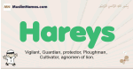 Hareys muslim boys name and meaning, islamic boys name Hareys