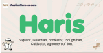 Haris muslim boys name and meaning, islamic boys name Haris