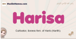 Harisa muslim girls name and meaning, islamic girls name Harisa